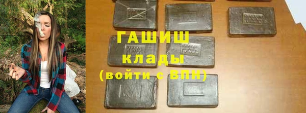 стаф Алзамай