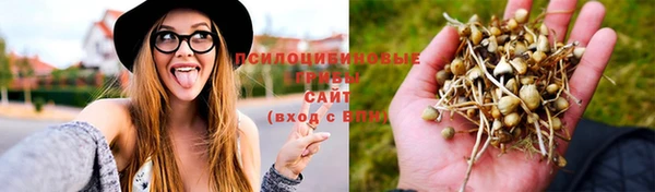 прущая мука Армянск