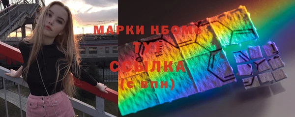 стаф Алзамай