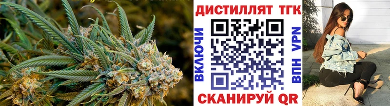 Купить закладки  Шебекино  ТГК гашишное масло 