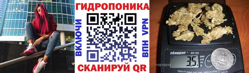 Купить закладки  Шебекино  Бошки марихуана VHQ 